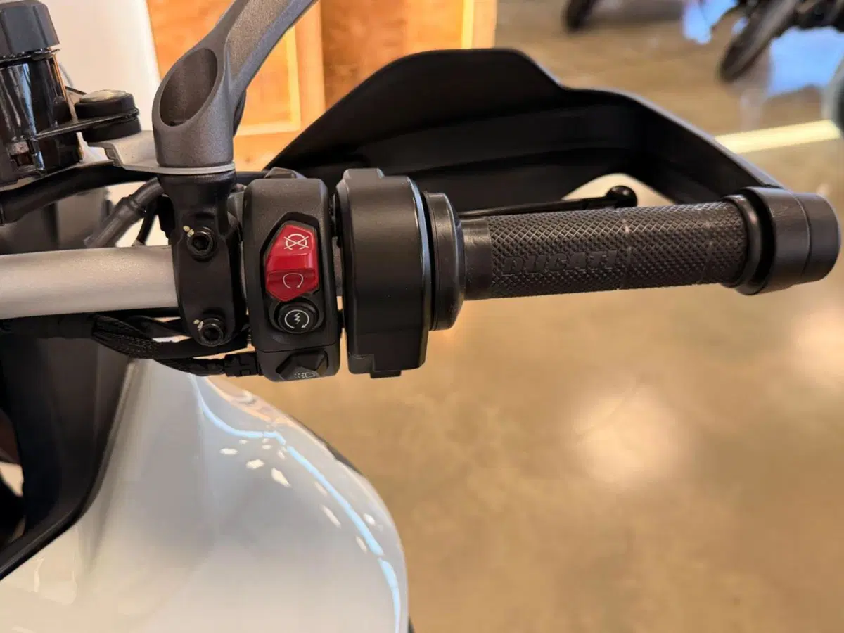 Ducati Multistrada V4 S (2021 - 24) (11)