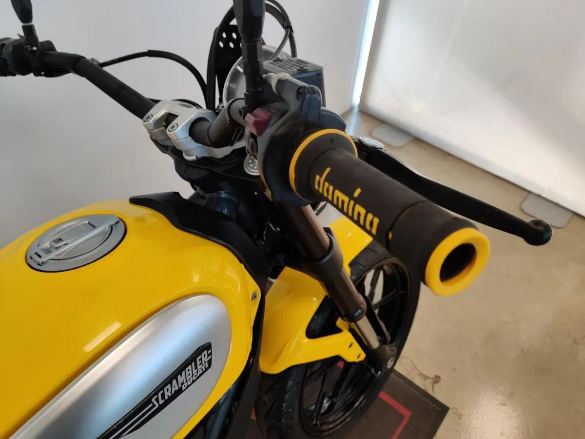 Ducati Scrambler 800 Icon (2015 - 16) (10)