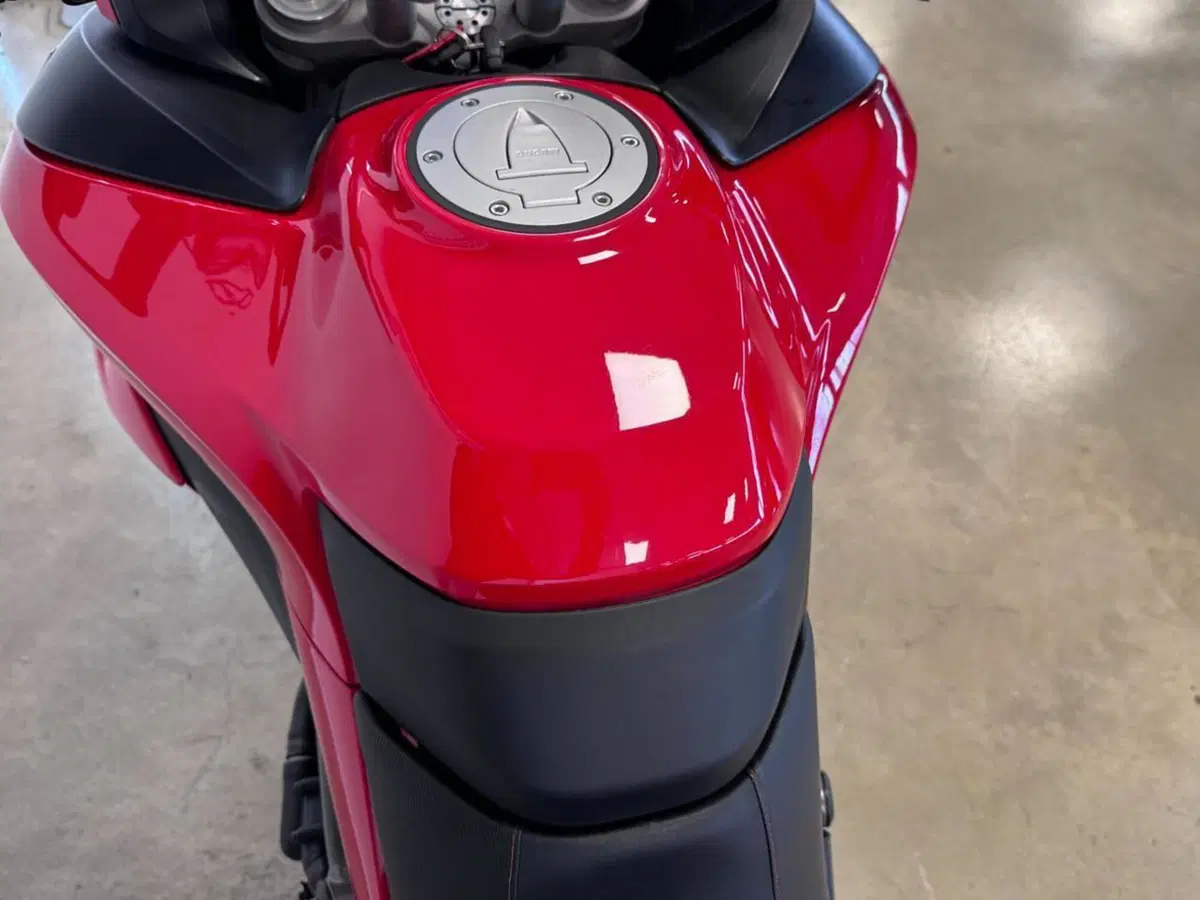 Ducati Multistrada 950 (2019 - 20) (11)
