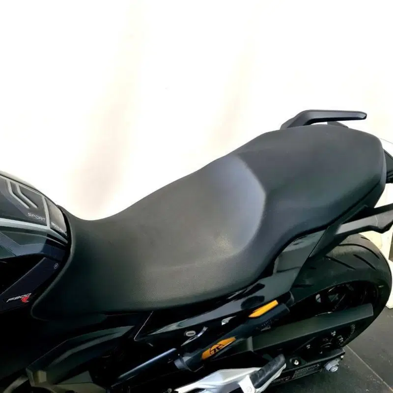 Bmw F 900 R (2017 - 20) (13)