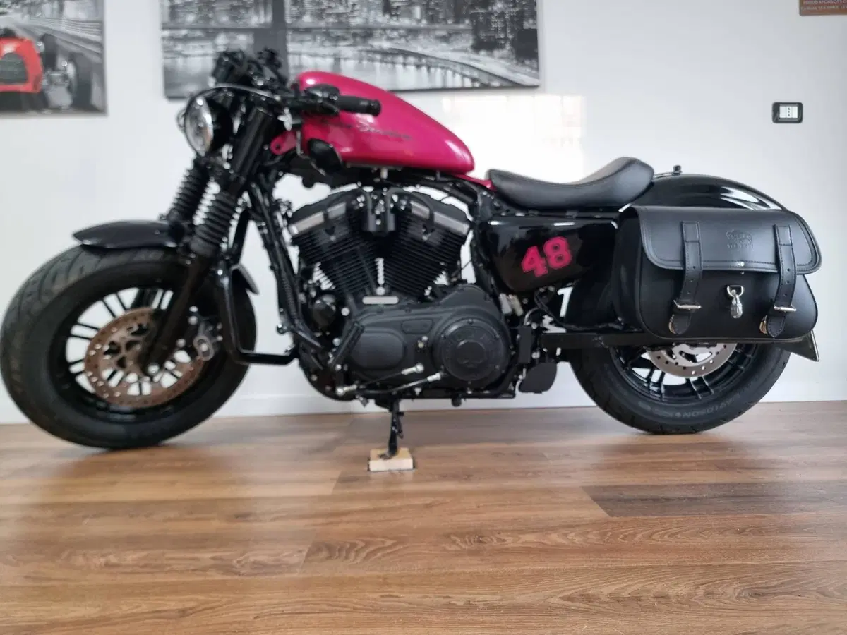 Harley-Davidson 1200 Forty-Eight (2016 - 20) (2)