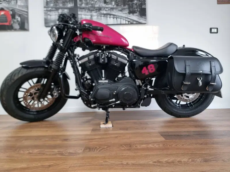 Harley-Davidson 1200 Forty-Eight (2016 - 20) (2)
