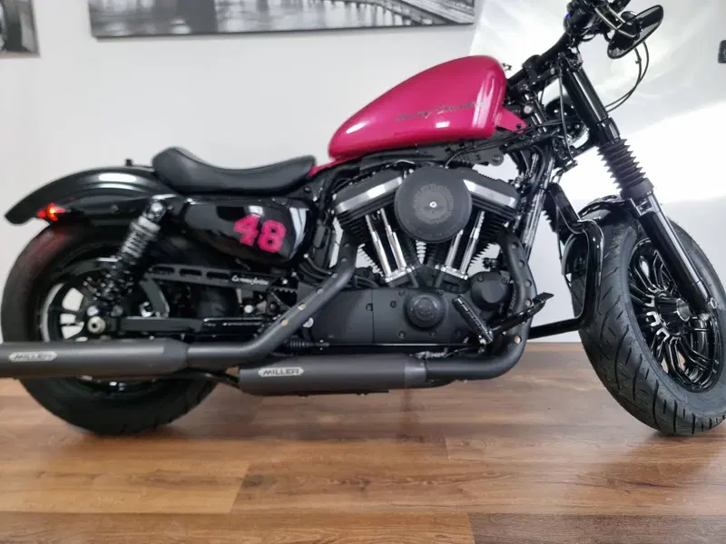 Harley-Davidson 1200 Forty-Eight (2016 - 20) (14)