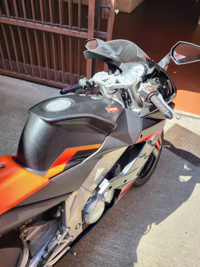 Aprilia RS 125 (2006 - 14) (10)