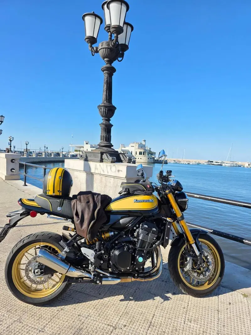 Kawasaki Z 900 RS SE (2022 - 25) (2)