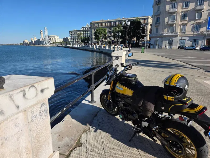 Kawasaki Z 900 RS SE (2022 - 25) (4)