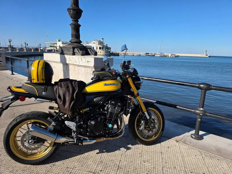 Kawasaki Z 900 RS SE (2022 - 25) (5)