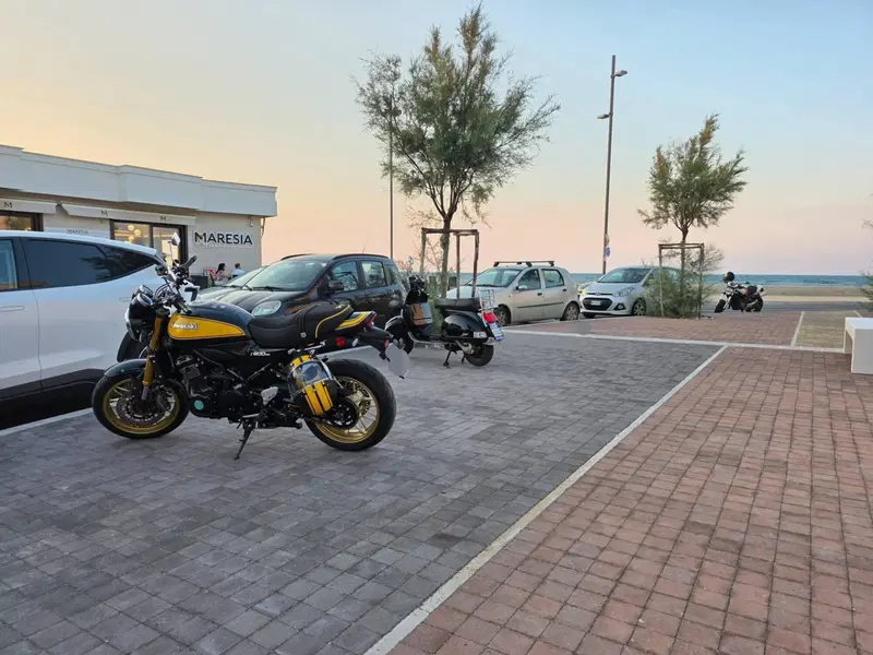 Kawasaki Z 900 RS SE (2022 - 25) (20)