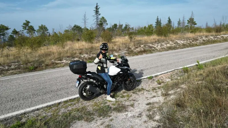 Suzuki V-Strom 650 ABS (2017 - 20) (2)