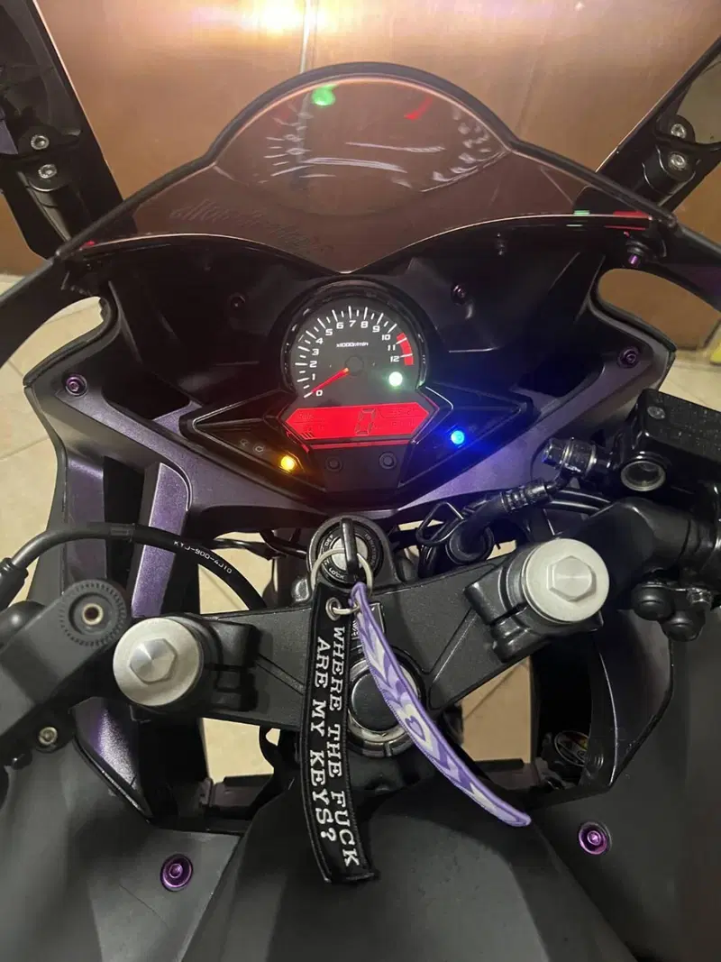 Honda CBR 300 R ABS (2014 - 17) (2)