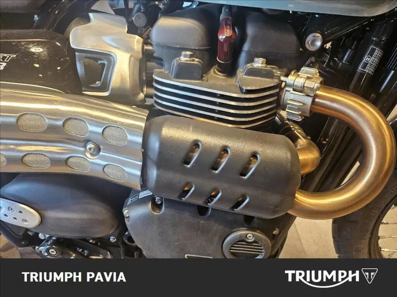 Triumph Street Scrambler 900 (2021 - 22) (9)