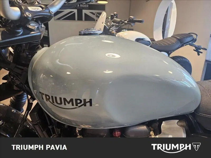 Triumph Street Scrambler 900 (2021 - 22) (14)