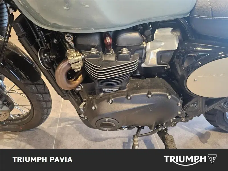 Triumph Street Scrambler 900 (2021 - 22) (15)