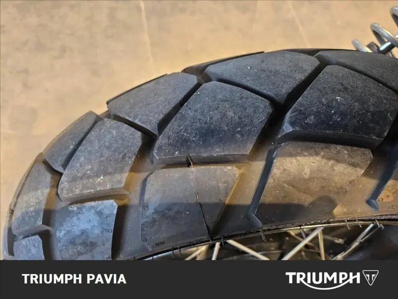 Triumph Street Scrambler 900 (2021 - 22) (6)