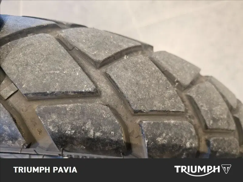 Triumph Street Scrambler 900 (2021 - 22) (7)