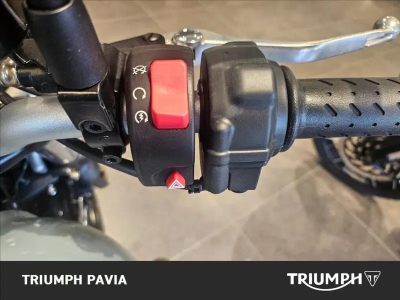 Triumph Street Scrambler 900 (2021 - 22) (21)