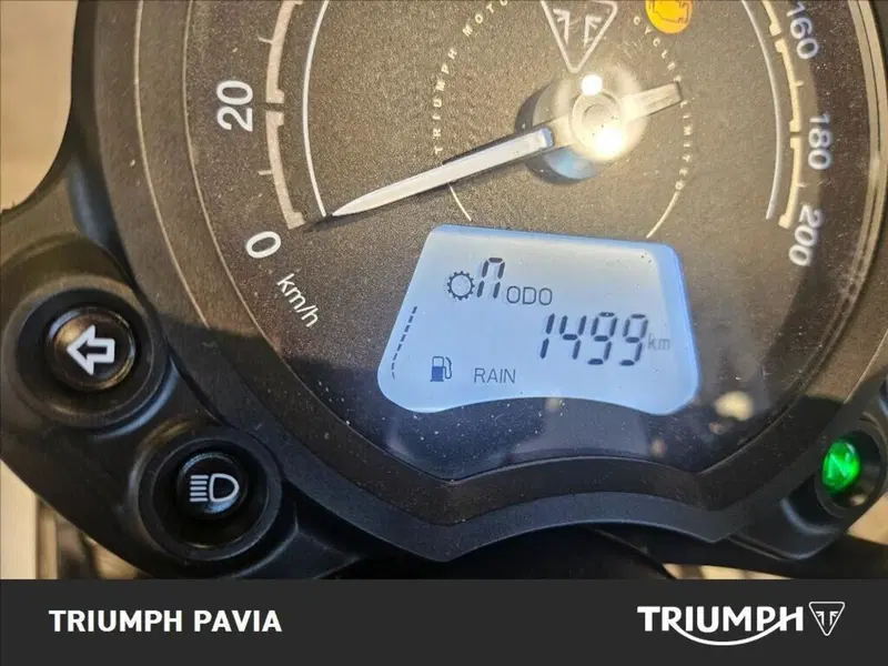Triumph Street Scrambler 900 (2021 - 22) (22)