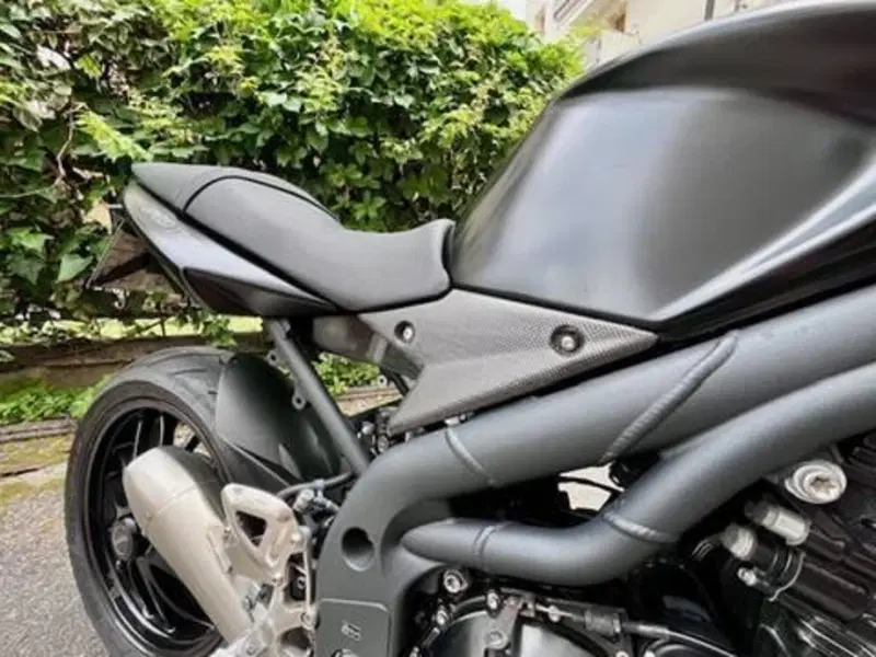 Triumph Speed Triple 1050 (2005 - 11) (3)