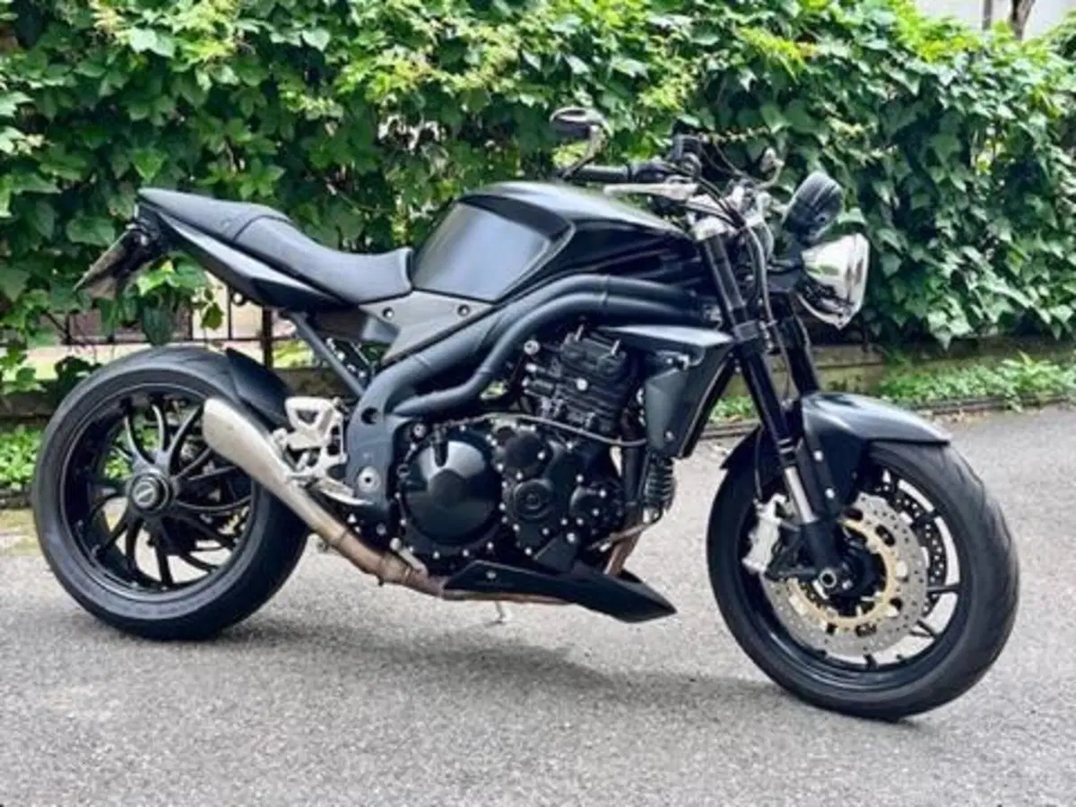 Triumph Speed Triple 1050 (2005 - 11) (9)