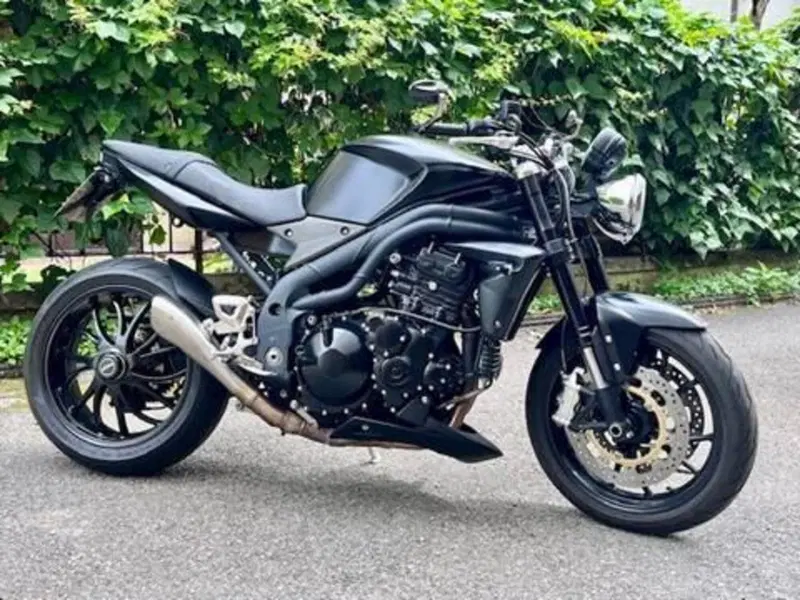 Triumph Speed Triple 1050 (2005 - 11) (9)