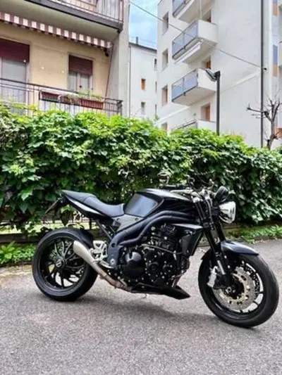 Triumph Speed Triple 1050 (2005 - 11) usata