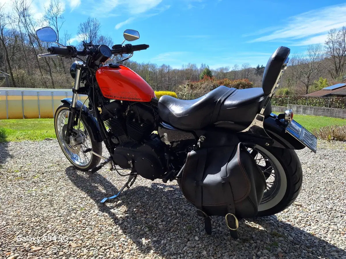 Harley-Davidson 883 Custom (2006 - 07) - XL 883C (5)