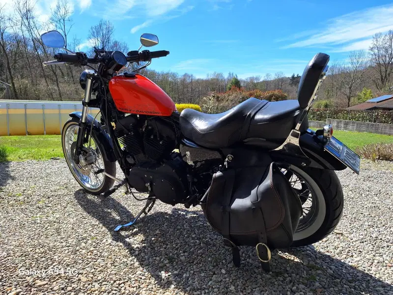 Harley-Davidson 883 Custom (2006 - 07) - XL 883C (5)