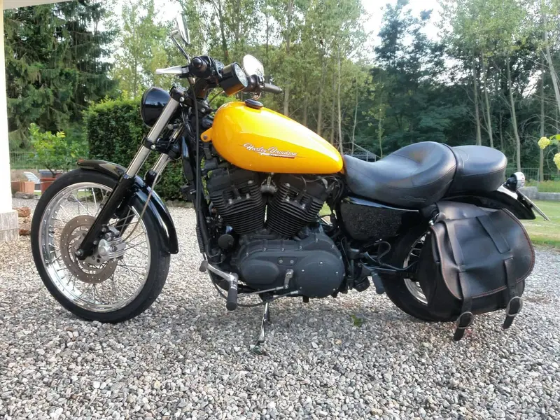 Harley-Davidson 883 Custom (2006 - 07) - XL 883C (11)