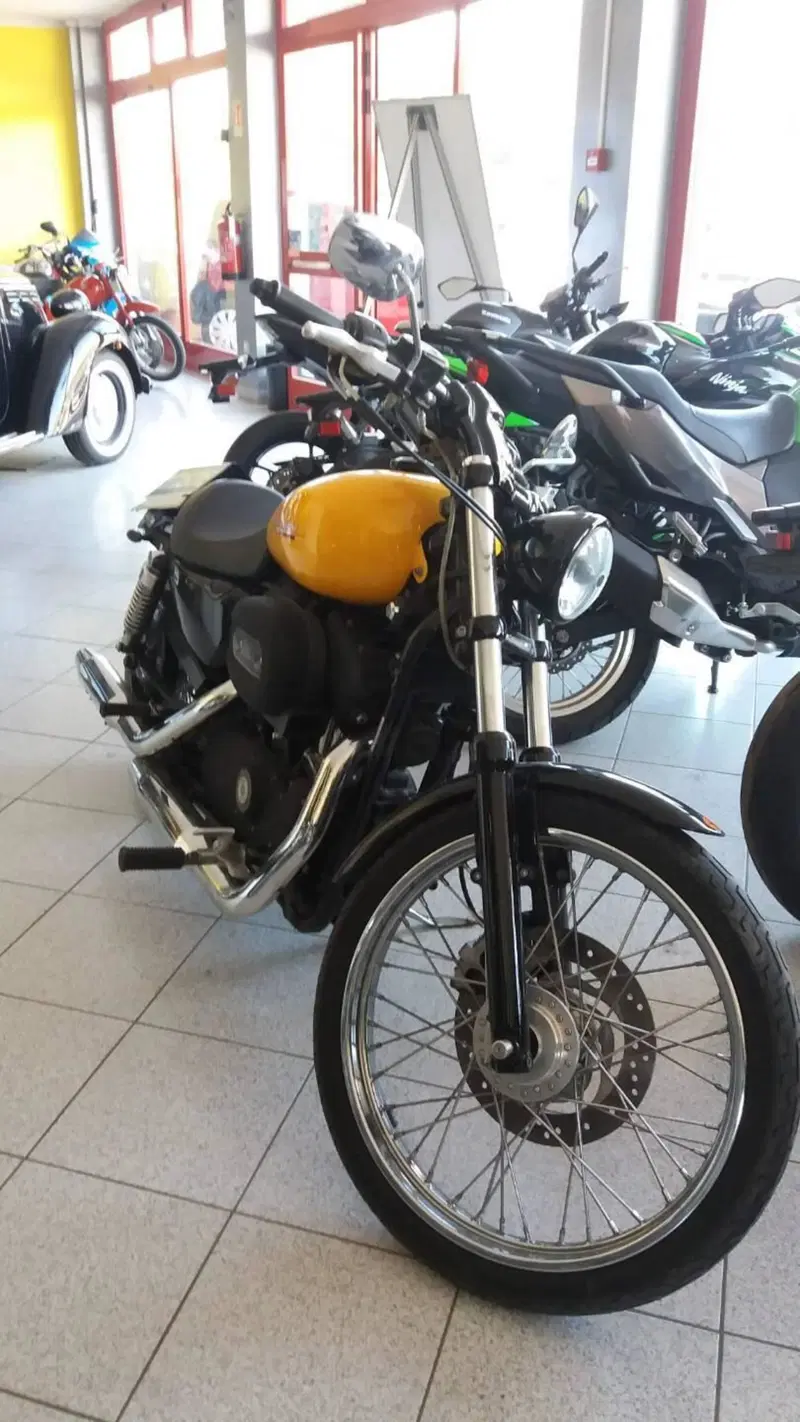 Harley-Davidson 883 Custom (2006 - 07) - XL 883C (13)