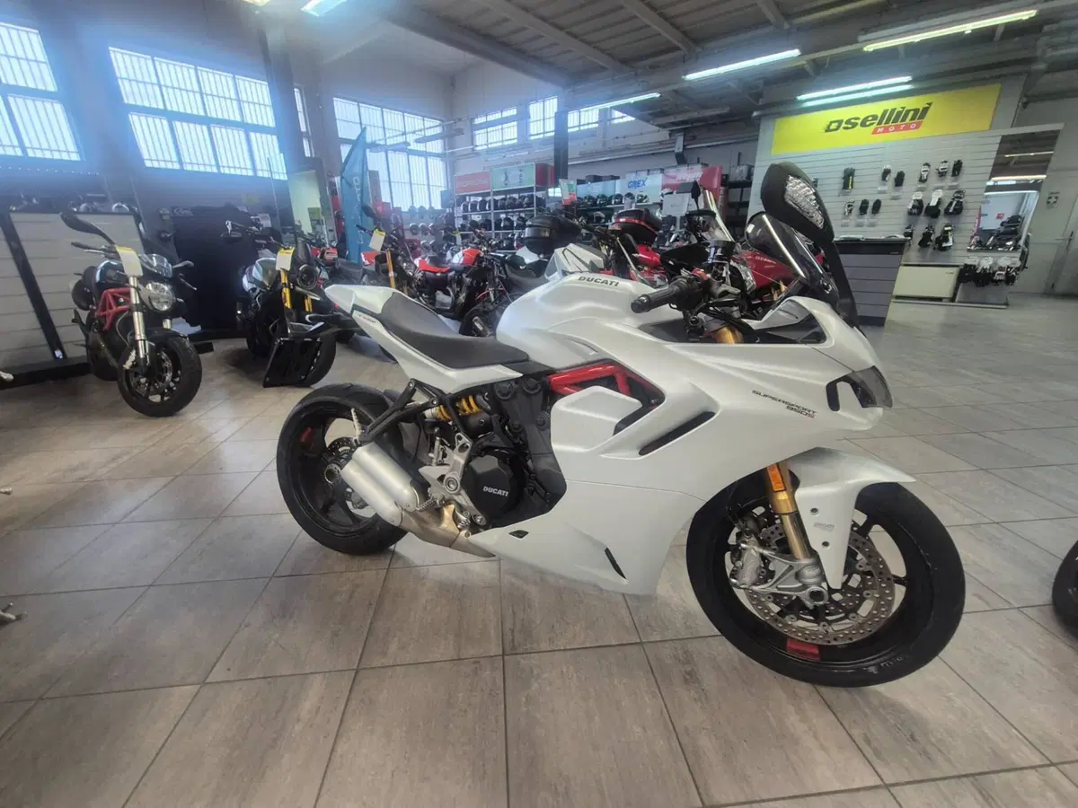 Ducati SuperSport 950 S (2021 - 24) (3)