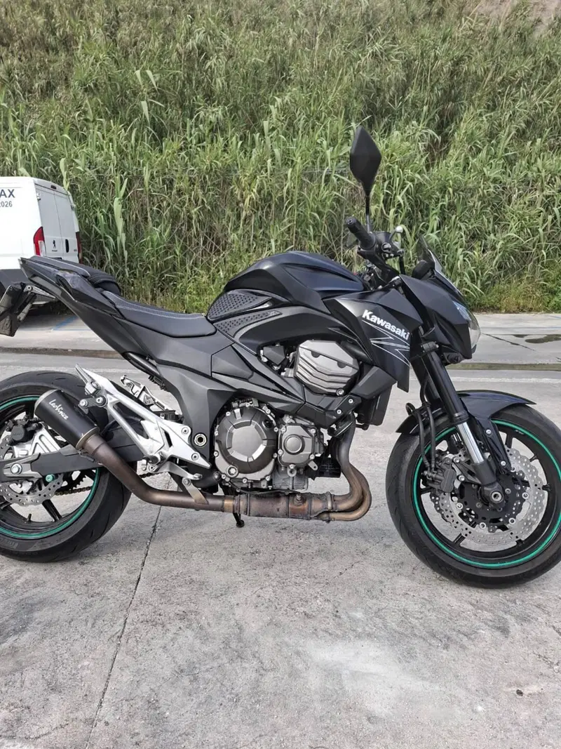 Kawasaki Z 800 e (2012 - 13) (2)