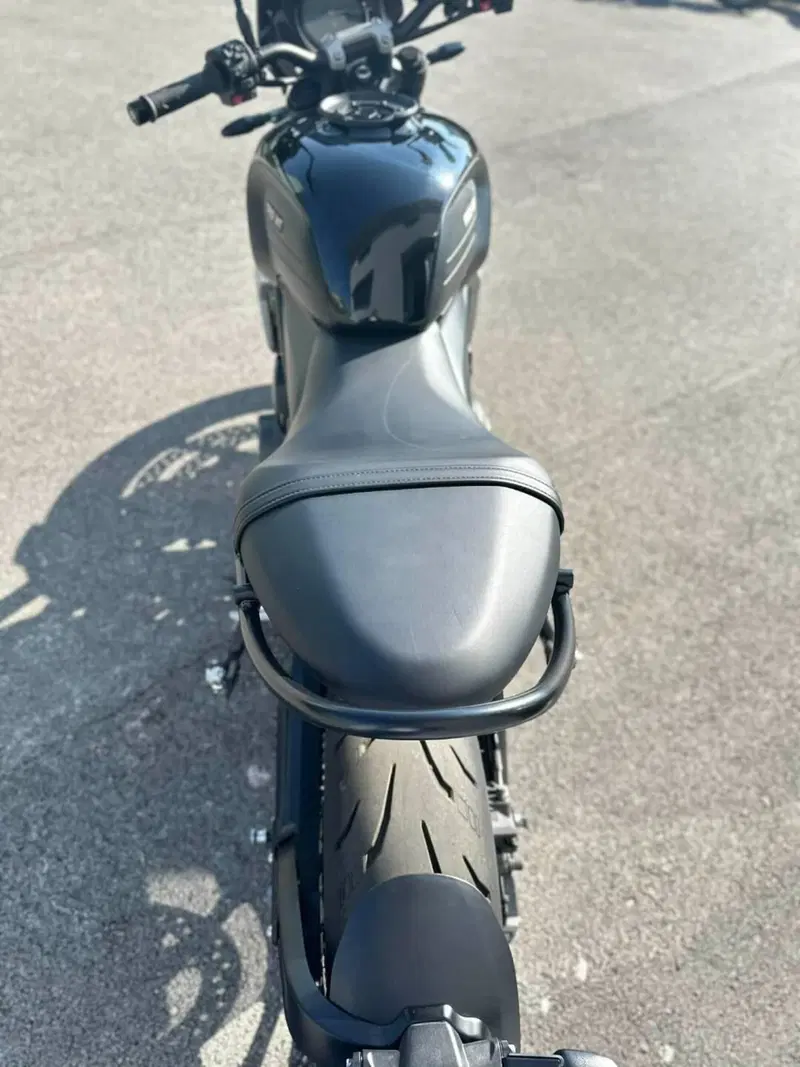 Triumph Trident 660 (2021 - 24) (6)
