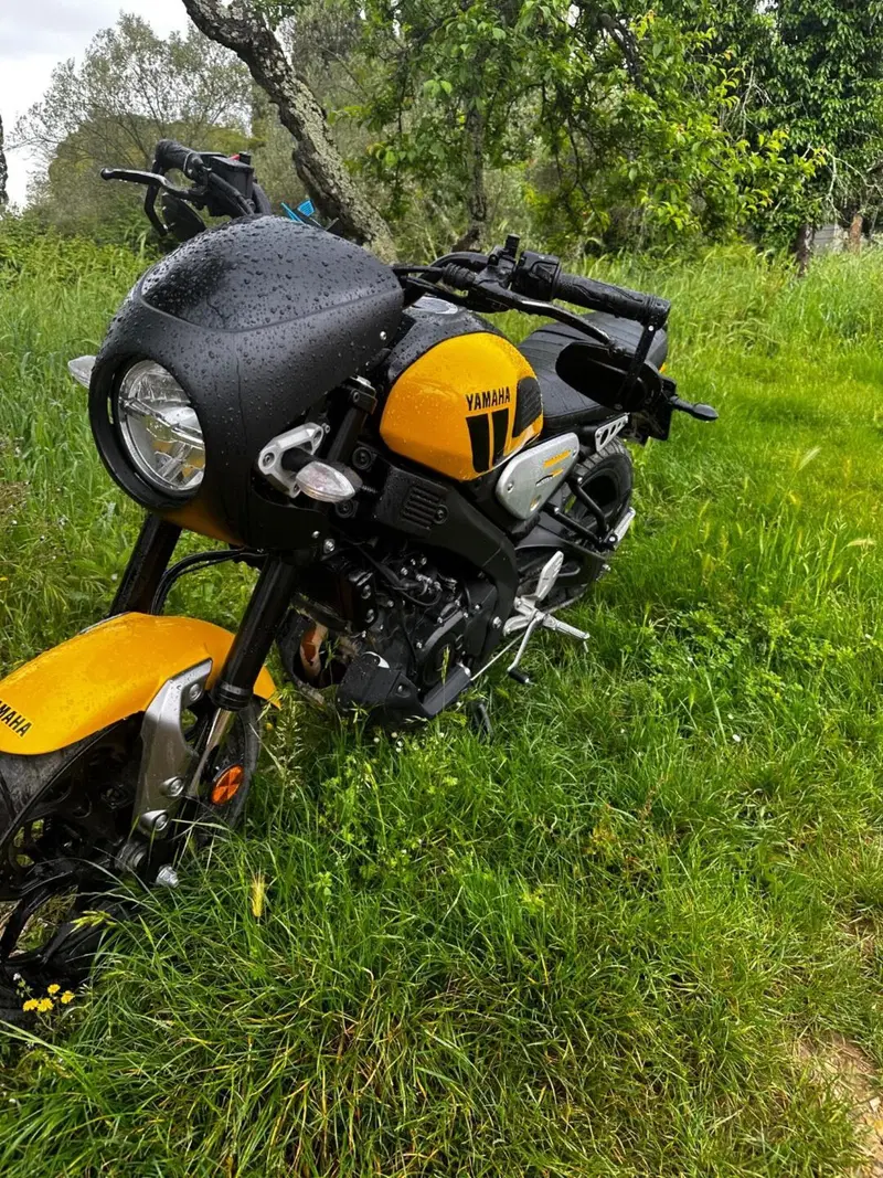 Yamaha XSR 125 Legacy (2022 - 24) (5)