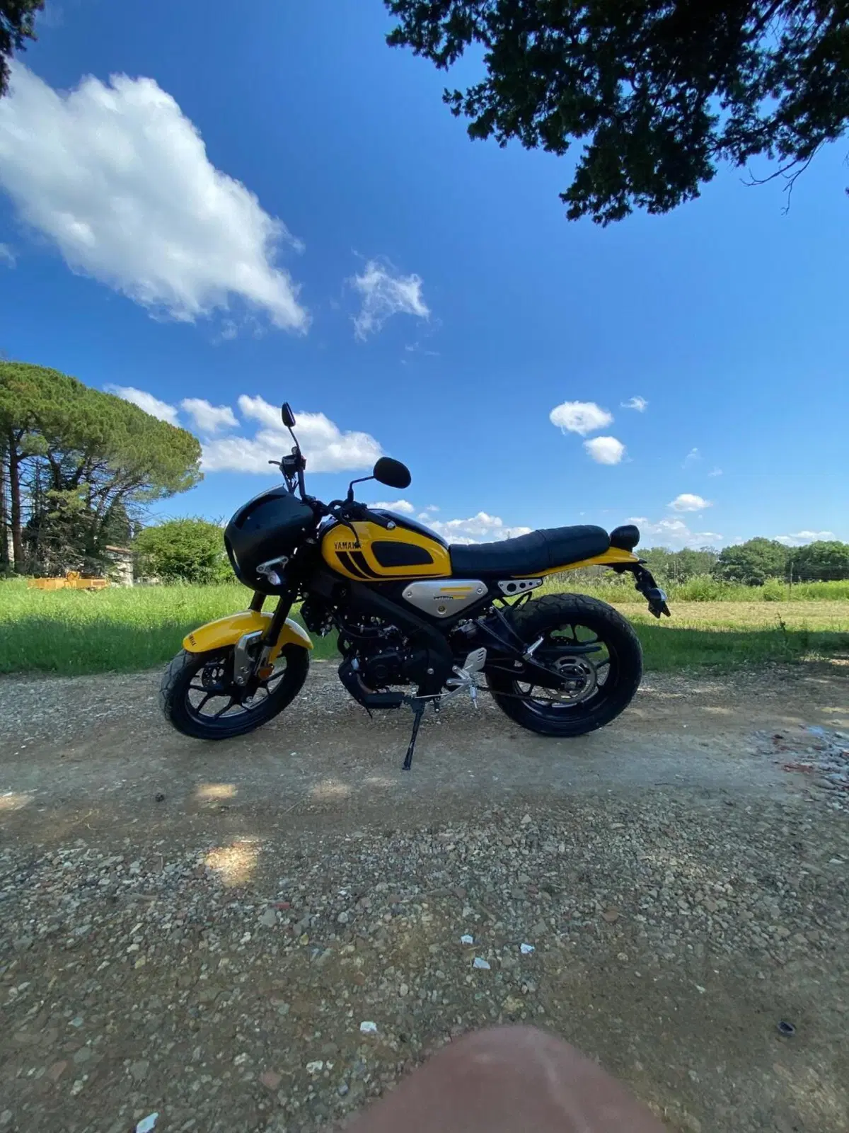 Yamaha XSR 125 Legacy (2022 - 24) (6)