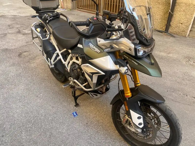 Triumph Tiger 900 Rally Pro (2020 - 23) (3)
