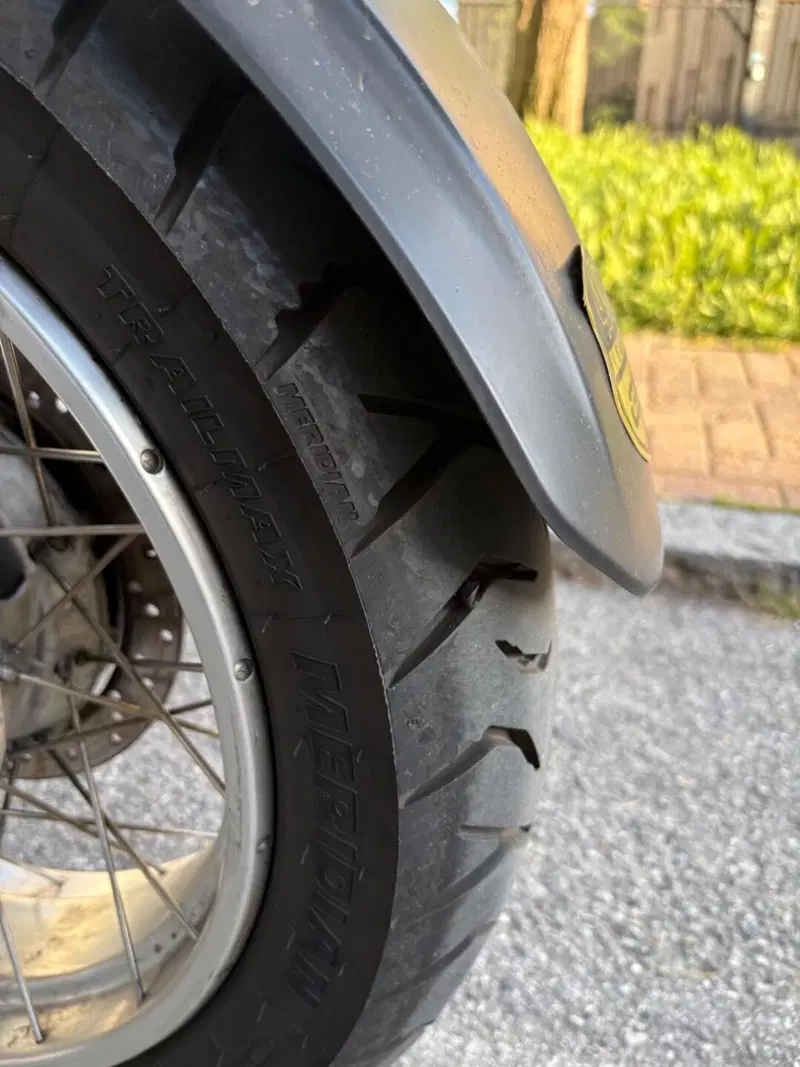 Bmw R 1150 GS (1999 - 03) (7)