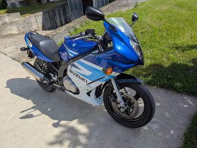 Suzuki GS 500 F (2004 - 06) usata