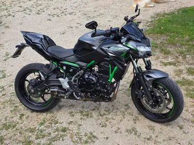 Kawasaki Z 650 (2021 - 24) usata