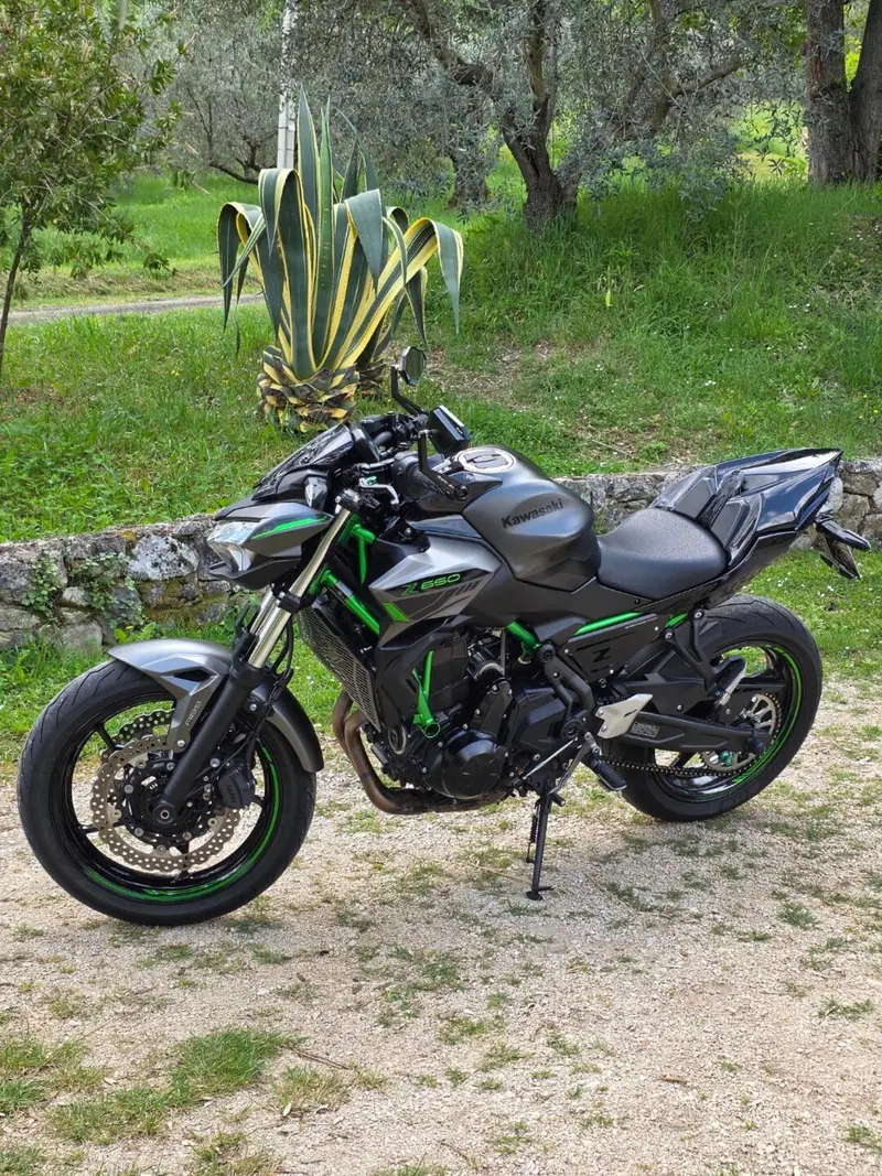 Kawasaki Z 650 (2021 - 24) (2)