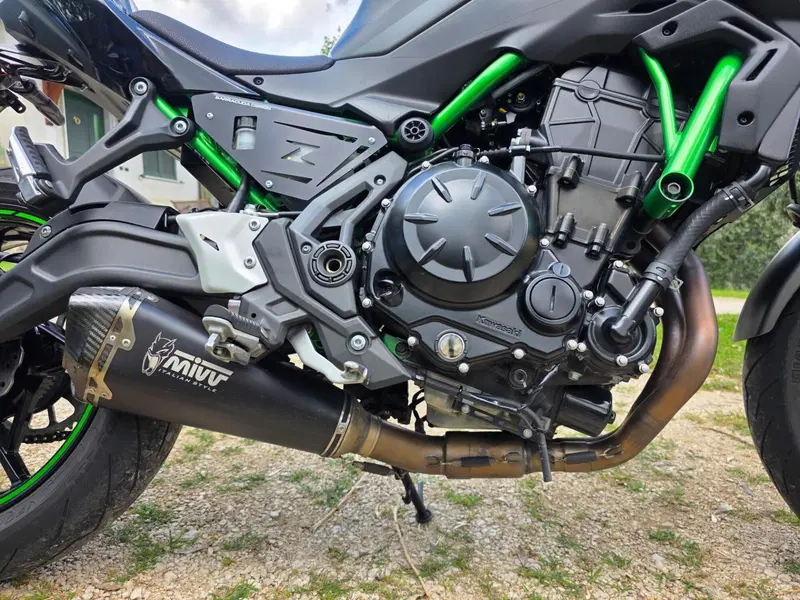 Kawasaki Z 650 (2021 - 24) (3)