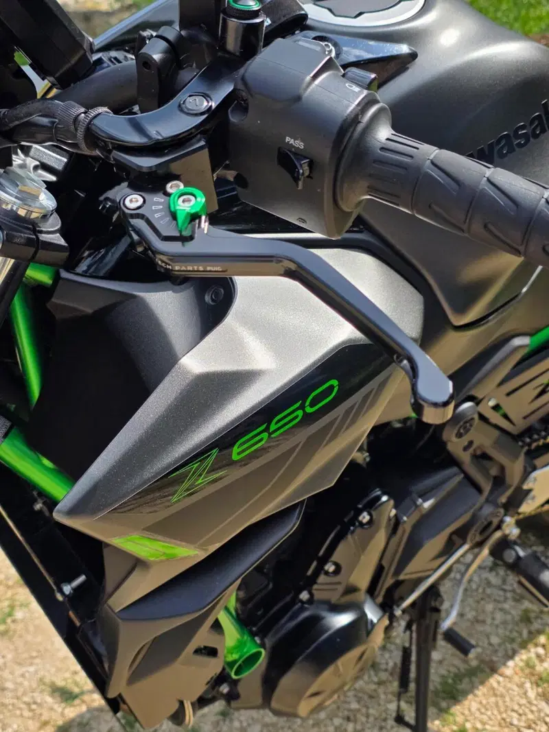 Kawasaki Z 650 (2021 - 24) (6)