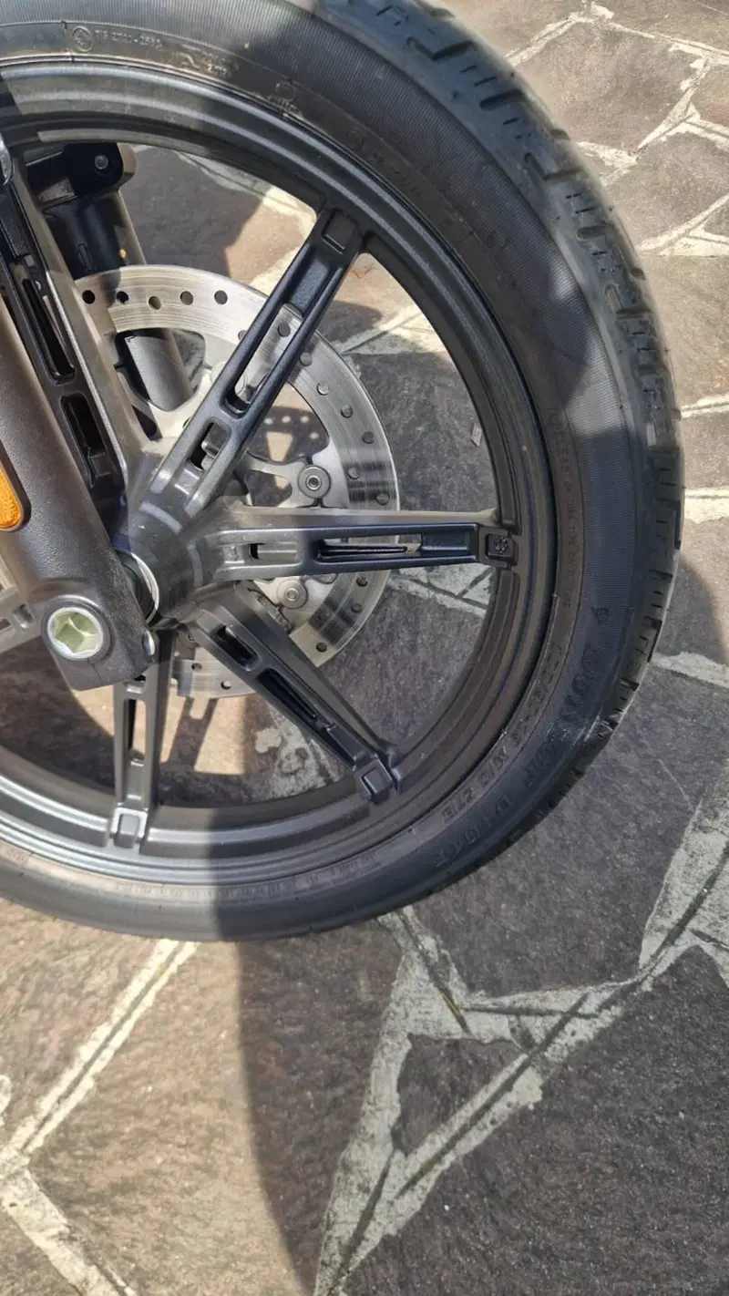 Harley-Davidson Sportster S (2022 - 24) (10)