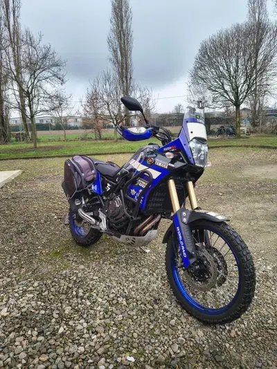 Yamaha T&eacute;n&eacute;r&eacute; 700 (2019 - 20) usata