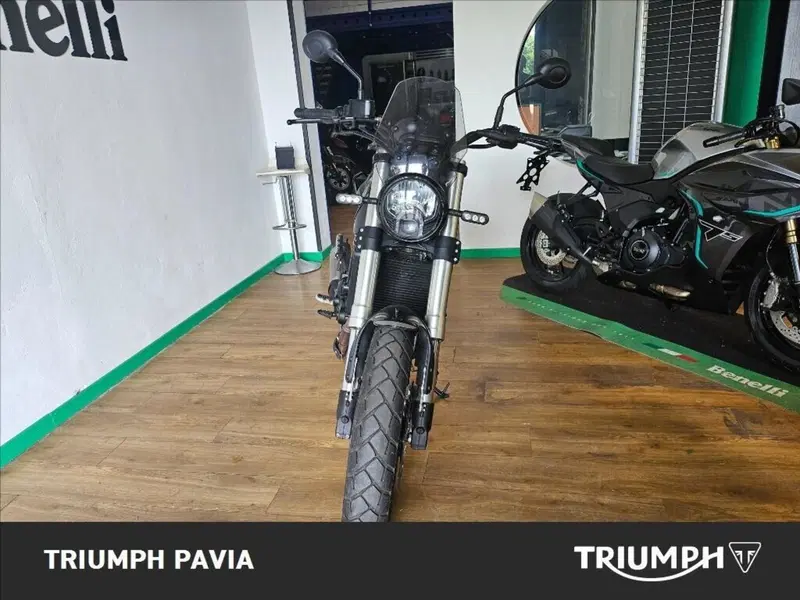 Benelli Leoncino 500 Trail (2021 - 26) (6)