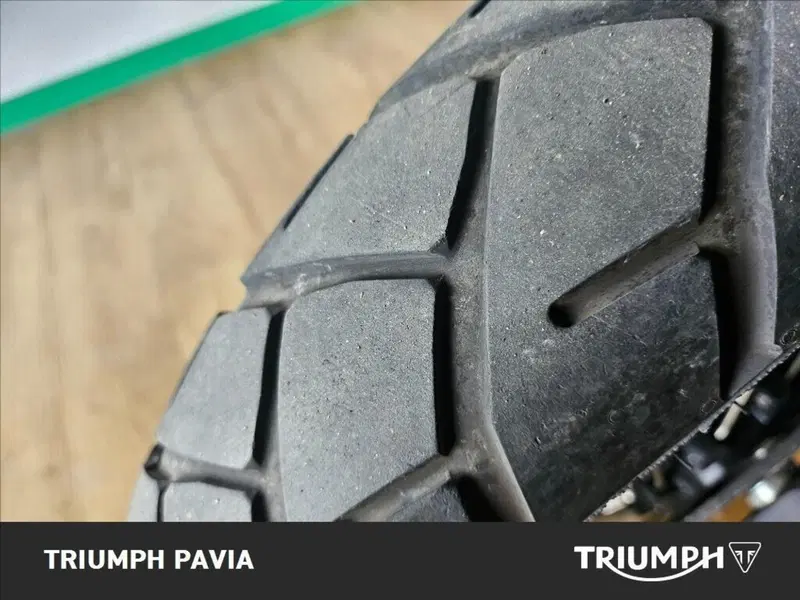 Benelli Leoncino 500 Trail (2021 - 26) (7)