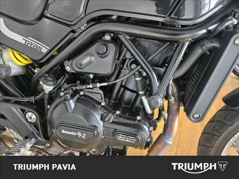 Benelli Leoncino 500 Trail (2021 - 26) (17)