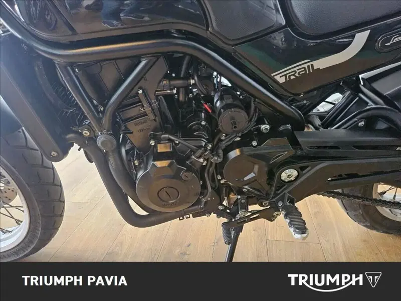 Benelli Leoncino 500 Trail (2021 - 26) (12)