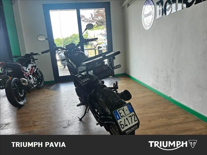 Benelli Leoncino 500 Trail (2021 - 26) (3)
