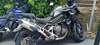 Triumph Tiger 1200 GT Pro (2024 - 26) usata