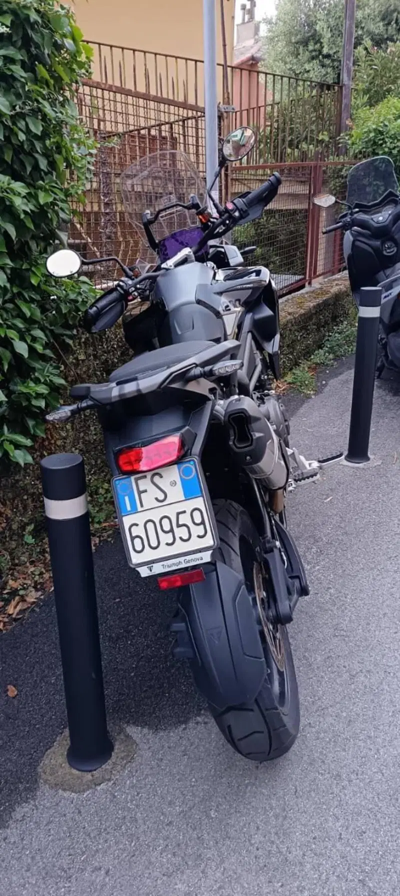 Triumph Tiger 1200 GT Pro (2024 - 26) (2)